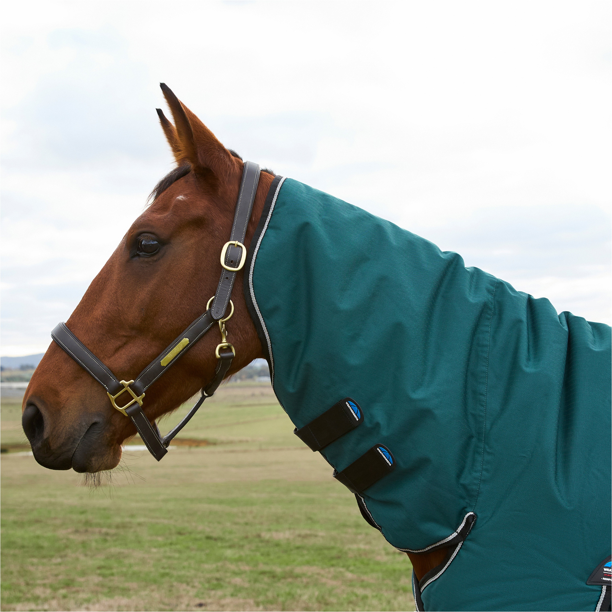 2025 WeatherBeeta Comfitec Classic Turnout Combo 1029069 - Forest Green